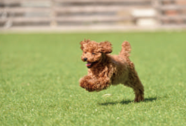 コストダウンの理由
